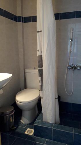 La salle de bains est pourvue de toilettes et d'un rideau de douche. dans l'établissement anerousa, à Loutrá