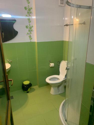 a green bathroom with a toilet and a shower at Hotel Eden in Şimian