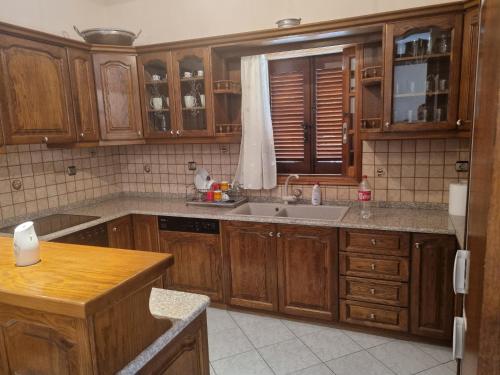 kuchnia z drewnianymi szafkami i zlewem w obiekcie Apartment Theodoros w mieście Leonidion