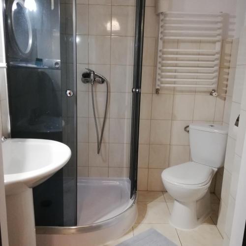 a bathroom with a shower and a toilet and a sink at Pokoje u Kasi i Marcina in Lipnica Wielka
