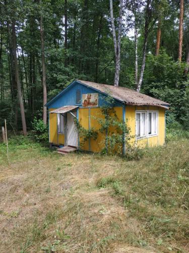 a small yellow and blue house in the woods at База відпочинку Енергія in Rudnya Peskovskaya