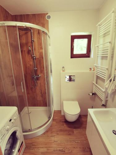 a bathroom with a shower and a toilet and a sink at Zwierzyniec u Kowala in Zwierzyniec