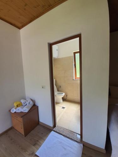 bagno con servizi igienici e specchio di Guest House Flodisa a Theth