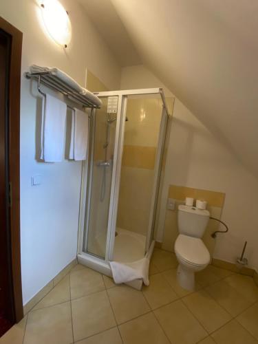 a bathroom with a shower and a toilet at Orient Spa in České Budějovice