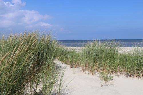 a field of grass on a sandy beach at Landhaus Lindenhof, Wohnung Meertied in Wangerooge
