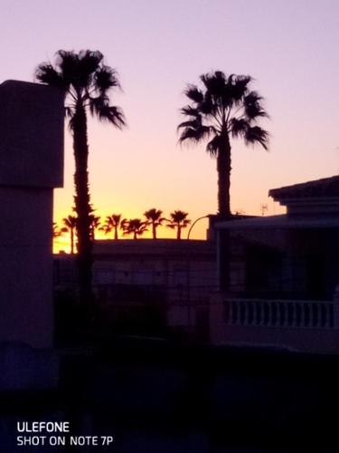 un groupe de palmiers devant un coucher de soleil dans l'établissement Marrakesh, à Los Alcázares