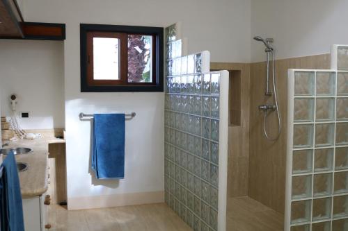 baño con ducha y toalla azul en Magic House Bonaire, en Kralendijk