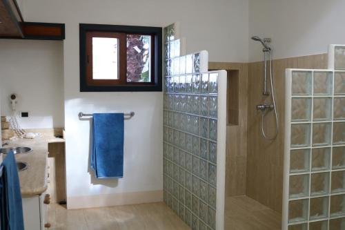 a bathroom with a shower and a blue towel at Magic House Bonaire in Kralendijk