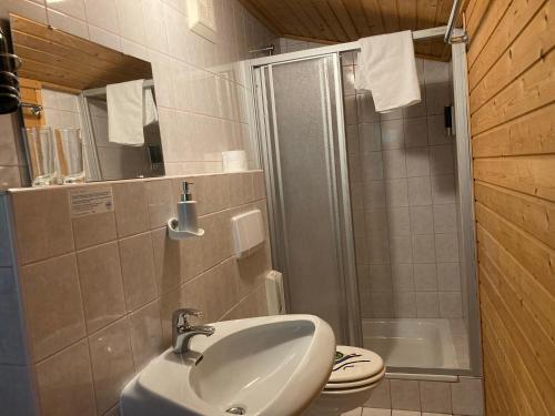 a bathroom with a sink and a toilet and a shower at Pension Karlsdorfer Hof in Seeboden