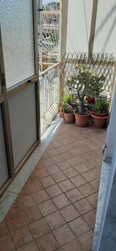 a patio with potted plants and a fence at Appartamento Due Camere Magna Graecia in Catanzaro