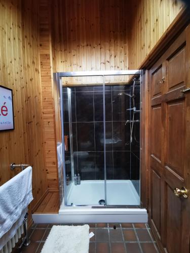 a bathroom with a shower with a glass door at Wellstone Cottages - Jasmine with Private Hot Tub in Llanfyrnach