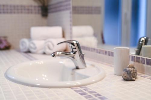 a bathroom counter with a sink and a bathroom mirror at Apartment Park Piran in Piran