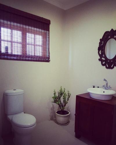 a bathroom with a toilet and a sink and a mirror at Hoogwater Cottage in Wolseley