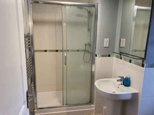 a bathroom with a shower and a sink at Vetrelax Basildon Blake Apartment in Basildon