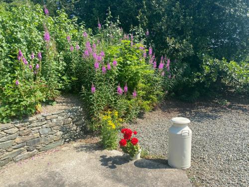 Foto sihtkohas Greencastle asuva majutusasutuse Hawthorn Cottage galeriist