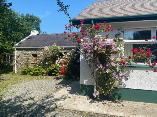 Foto sihtkohas Greencastle asuva majutusasutuse Hawthorn Cottage galeriist