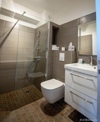 La salle de bains est pourvue de toilettes, d'une douche et d'un lavabo. dans l'établissement APPARTEMENT PLEINE VUE MER 34 Ch. du Sillon Saint-Malo Plage, à Saint-Malo