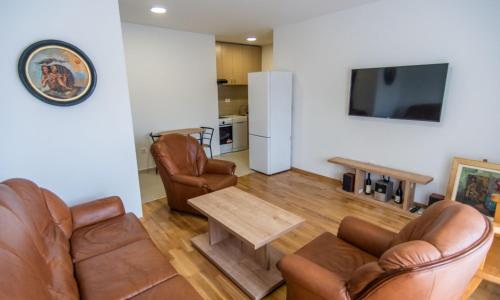 TV a/nebo společenská místnost v ubytování Sunny Hill Suite Ljubovic
