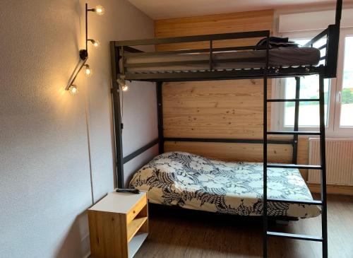 a bedroom with a bunk bed and a bunk bed at Appartement Superdevoluy Le Petit Suisse in Le Dévoluy