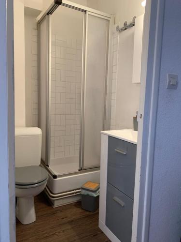 a bathroom with a shower and a toilet and a sink at Appartement Superdevoluy Le Petit Suisse in Le Dévoluy