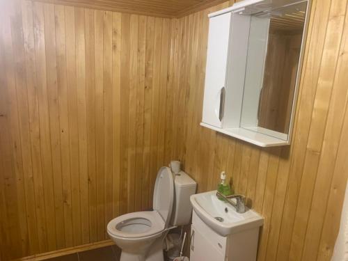 W łazience znajduje się toaleta, umywalka i lustro. w obiekcie Lemberg Elite Apartments w Lwowie