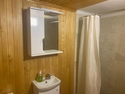 リヴィウにあるLemberg Elite Apartmentsのバスルーム(トイレ、洗面台、鏡付)