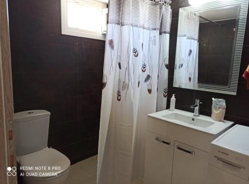 łazienka z toaletą i zasłoną prysznicową w obiekcie 4 Seasons House w miejscowości Amoudara