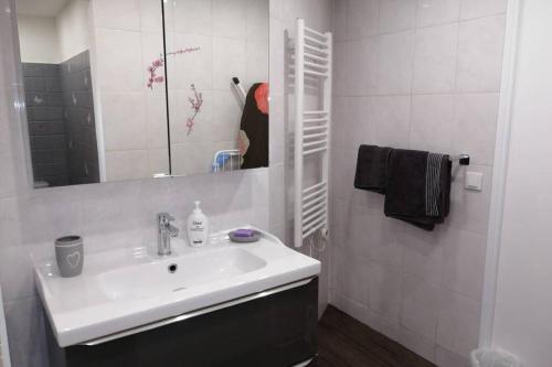 une salle de bain blanche avec un lavabo et un miroir dans l'établissement 2 Pièces ZEN dans villa en pleine nature, à Antibes