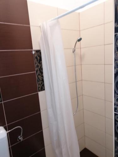 a shower with a white shower curtain in a bathroom at Excellency apartmani in Banja Luka