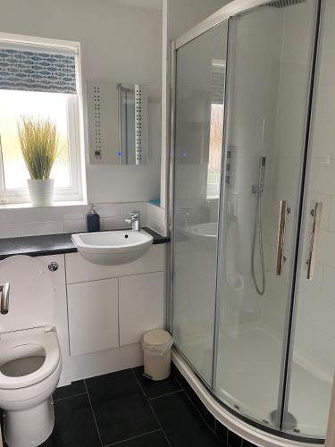 a bathroom with a shower and a toilet and a sink at 15 Maple Court in Oxford