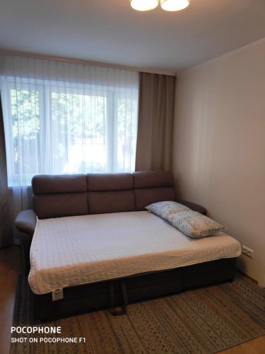 Bett in einem Zimmer mit Sofa und Fenster in der Unterkunft Jakobi Guest Apartment in Tallinn