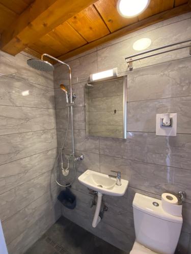 a bathroom with a sink and a toilet and a shower at Petrovaradin Chalet in Novi Sad
