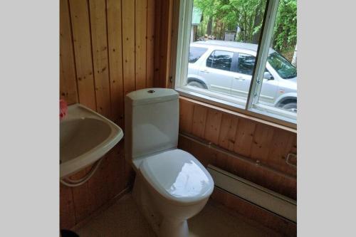 baño con aseo y lavabo y ventana en Cotteg Marjakallio (BerryRock), en Punkaharju