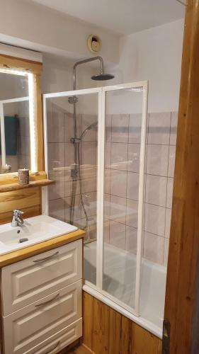a bathroom with a shower and a sink at Studio chaleureux station de Serre Chevalier 1200 (Briançon) in Briançon