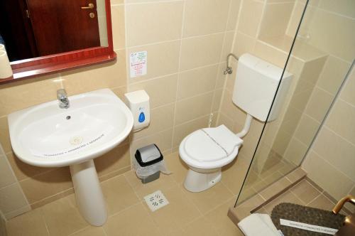 a bathroom with a sink and a toilet at Pensiunea Recanto in Fundata