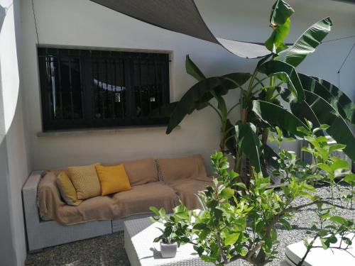a living room with a couch and some plants at A Sulana Chambre d'hôtes in Valle-di-Campoloro