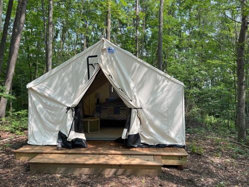 a tent on a wooden platform in the woods at Naturluxe & Stars in Watkins Glen