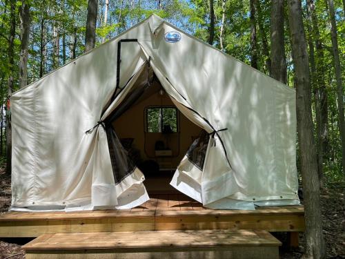a tent on a wooden platform in the woods at Naturluxe & Stars in Watkins Glen