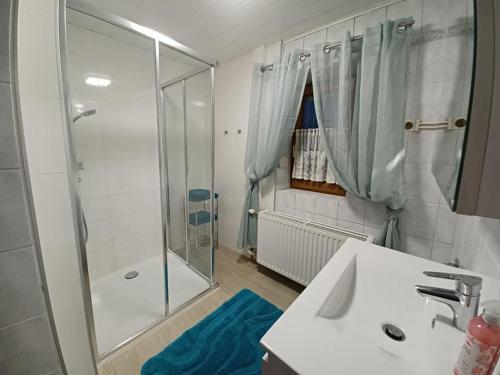 a bathroom with a shower and a sink and a mirror at Hortensia 2 in Münzkirchen