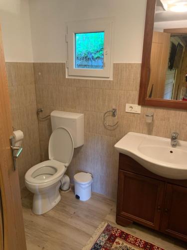 a bathroom with a toilet and a sink at Căsuța Bunicilor in Vişeu de Jos