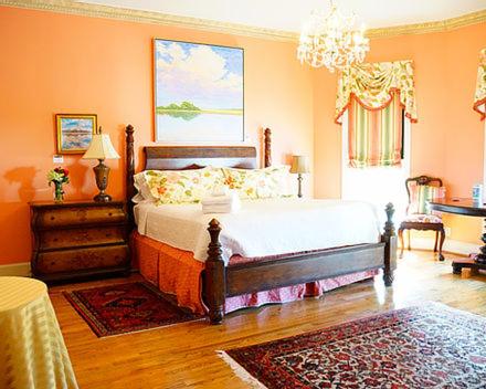 1 dormitorio con cama y lámpara de araña en The 1425 Inn en Columbia
