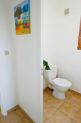 une salle de bain avec toilettes et un tableau au mur dans l'établissement Chambre d hôtes de la Louve, à Fréjus