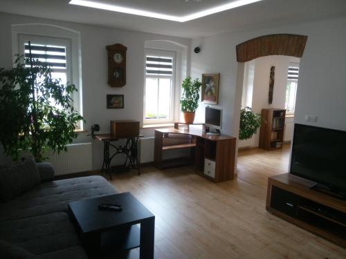 uma sala de estar com um sofá e uma televisão em Apartmán Albreit 1 em Jáchymov