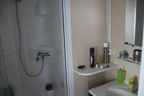 Ванная комната в Mobil Home "La vague reposante"
