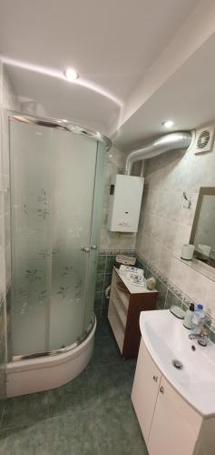 een badkamer met een douche, een toilet en een wastafel bij Apartament Park Saski II in Sandomierz