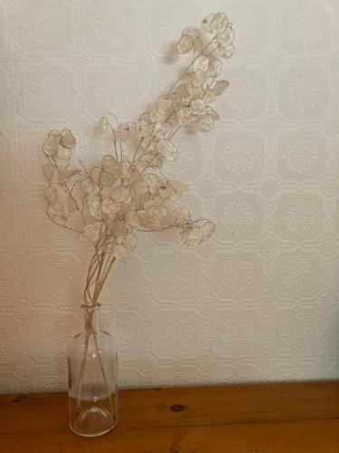 a glass vase filled with white flowers on a table at Yamachiche P.Q. in Yamachiche