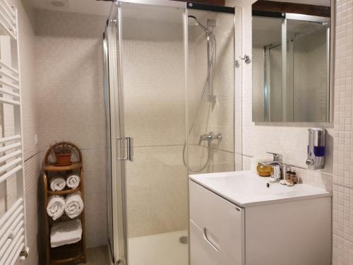 Studio Piata Mare apartments في سيبيو: حمام مع دش ومغسلة
