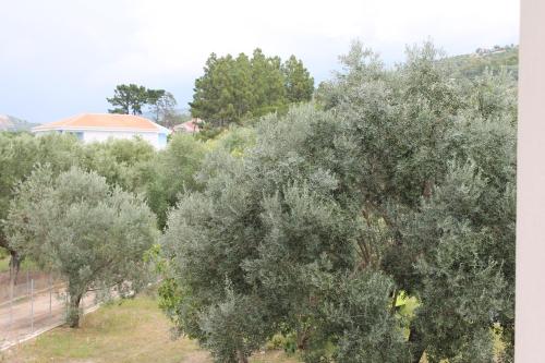 Gallery image of Tenuta Bellelli in Castellabate