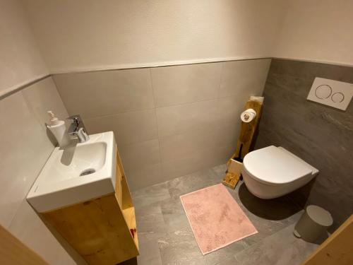 a bathroom with a white toilet and a sink at Haidacherhof in Eben am Achensee