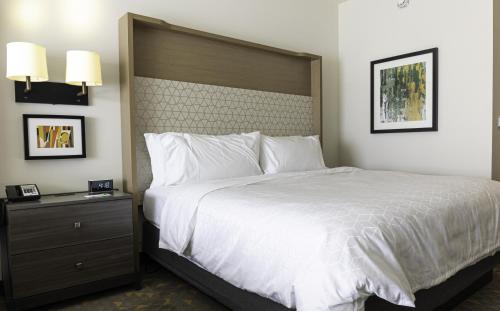 Holiday Inn Glendale - Stadium & Ent Dist Image